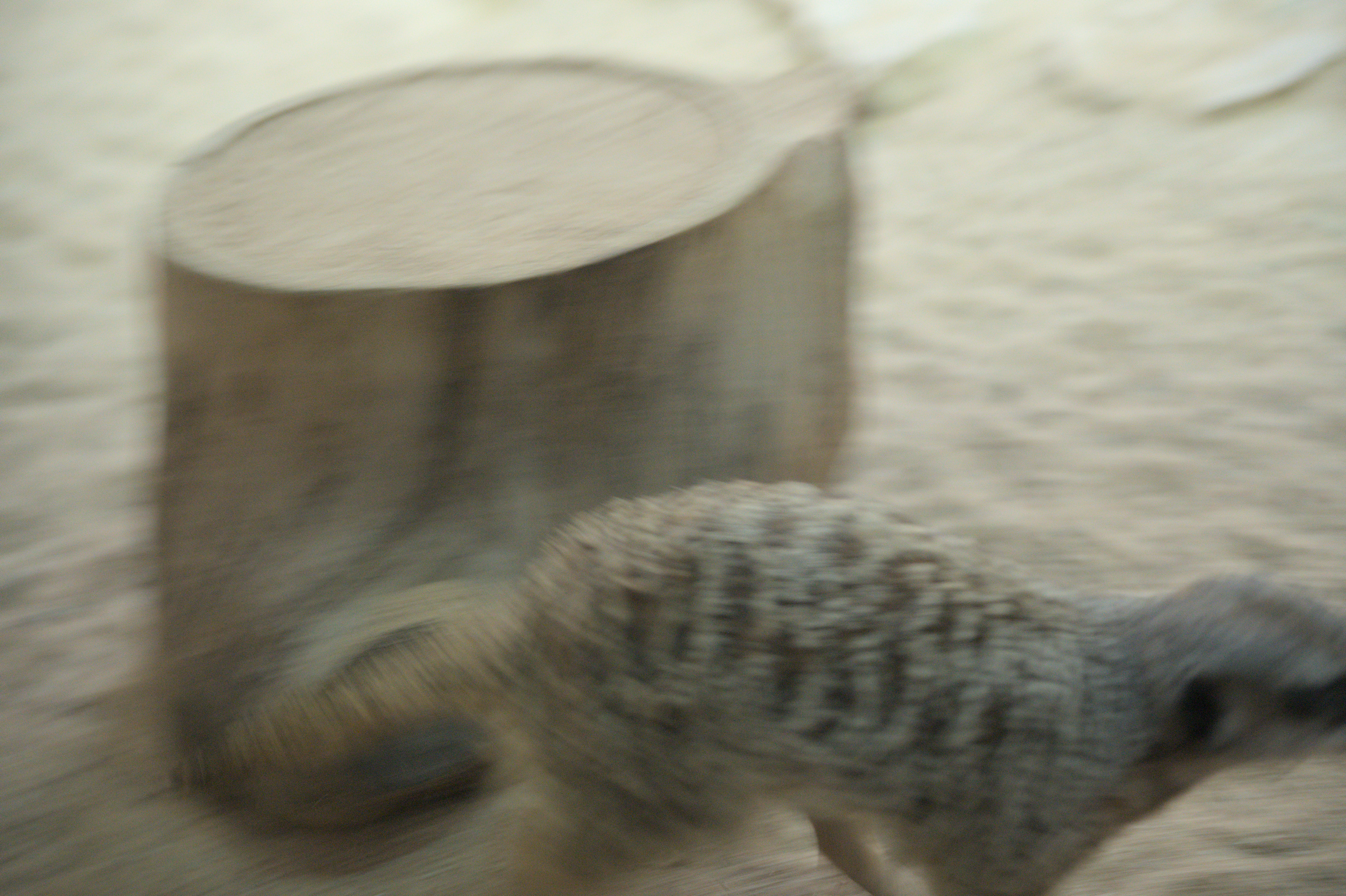 2025/10/12 - zoo/DSC_0335.jpg